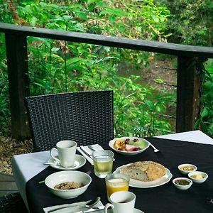 Queen Cabin Rainforest View