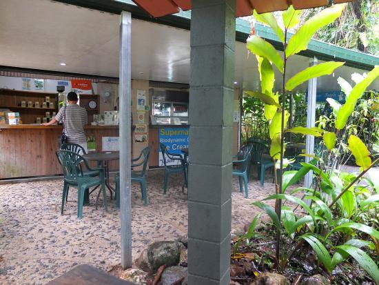 Floravilla Ice Cream Factory